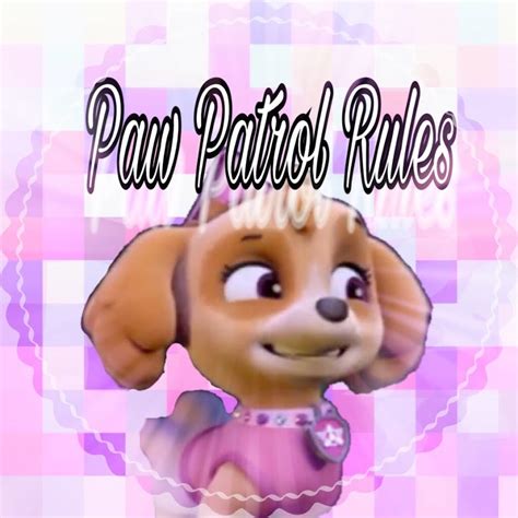 Paw Patrol Rules Youtube