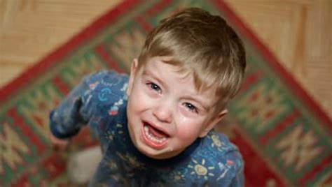 Parents Need Blog How To Deal With Toddler Temper Tantrums