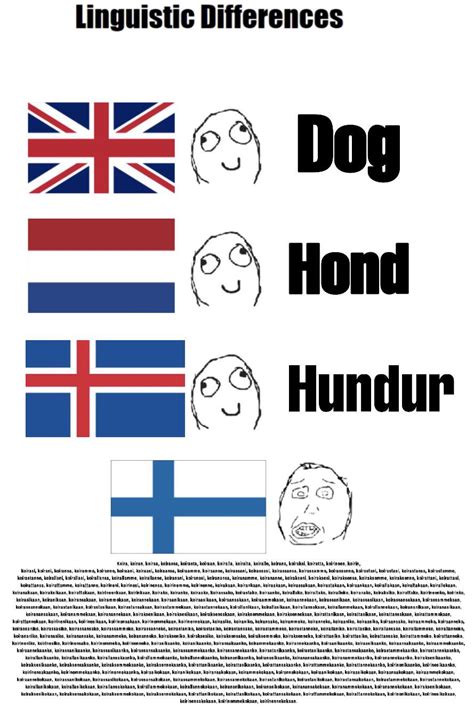 Finnish Is So Extra Rlinguisticshumor