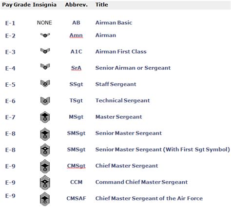 Ranks Armed Forces Of Panzermmee