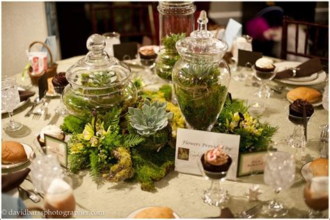 Moss Apothecary Jar Centerpiece Rustic Woodland Elegance