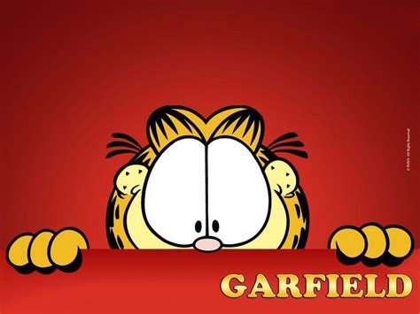 Garfield Wallpapers Wallpaper Cave