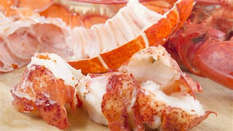 How To Store Cooked Lobster Properly Delicate But Achievable