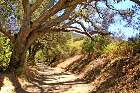 Hike To The Gaviota Hot Springs In Santa Barbara Hidden California