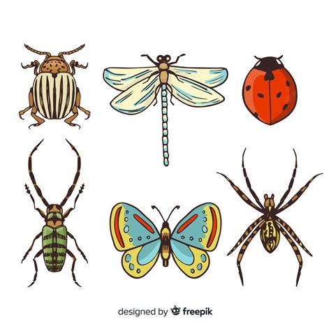 Free Vector Colorful Hand Drawn Insect Collection