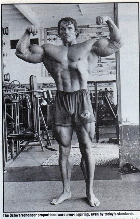 Arnold Arnold Schwarzenegger Mr Olympia 1970 1975 1980 Pinterest