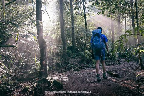 Jalur Pendakian Gunung Salak Favorit Pendaki Indonesia Superlive