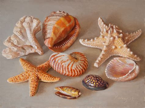 Wang Fine Art Seashells Still Life Painting Contemporary Realism A