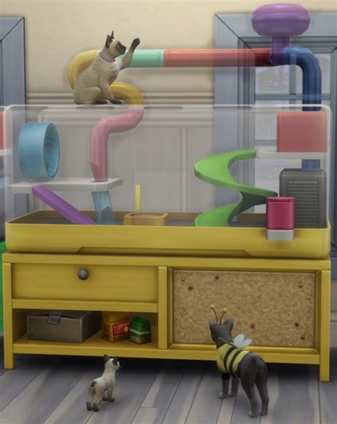 Les Sims 4 Premier Animal De Compagnie Les Nouveautés Du Gameplay