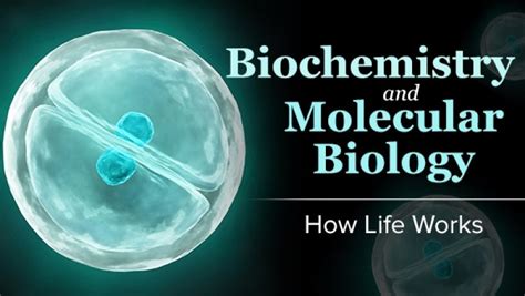 Biochemistry And Molecular Biology How Life Works Pdf Payhip