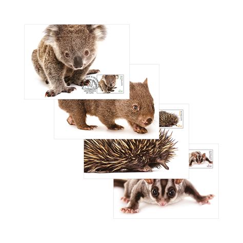 Set Of Australian Fauna Ii Maxicards Australian Fauna Ii