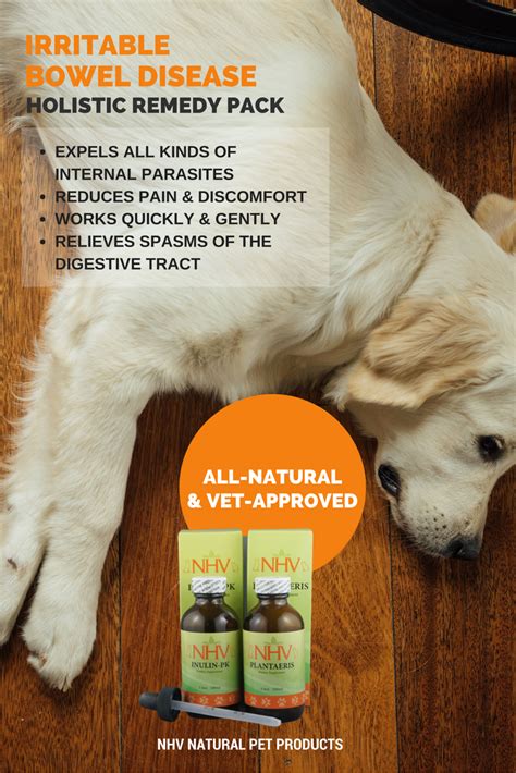 This Natural Remedy Pack Helps Treat Symptoms Of Ibd In Cats And Dogs