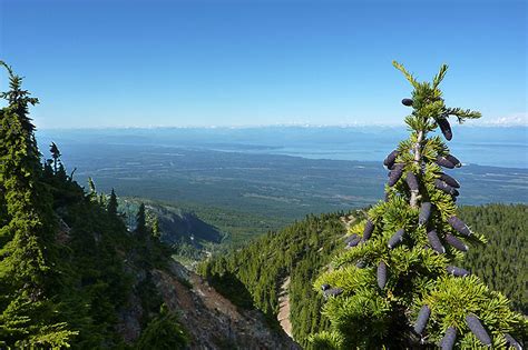 Mount Washington Alpine Resort Vancouver Island News Events Travel