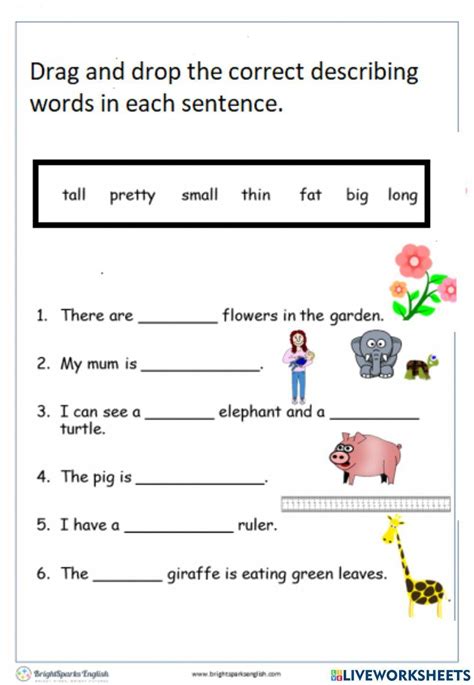 Describing Words Grammar Worksheet Live Worksheets