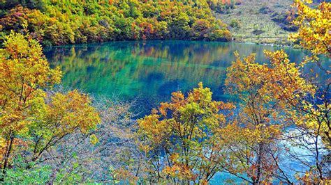 Beautiful Scenery Colorful Autumn Trees Reflection On Lake During