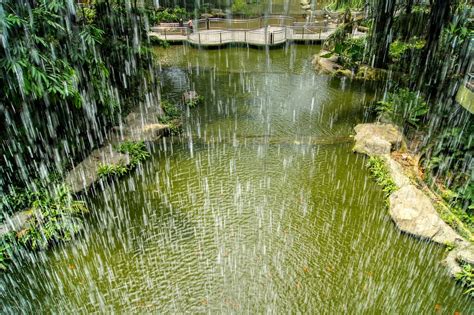 However, if you're willing to explore scenic routes to get to some picturesque coastlines, this list will come in handy. Behind the waterfall at Kuala Lumpur Bird Park (Taman Buru ...