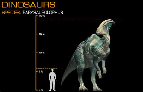 Disney Dinosaur Size Comparison Parasaurolophus By Wolfman3200 On