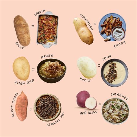 Cravings Tipsgiving Day 3 Know Your Potatoes And All The Ways To