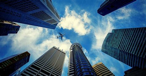 They independently develop their own planning with their. Industry Inside: Pest Control for Offices & Commercial ...