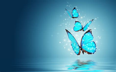 🔥 69 Desktop Backgrounds Butterflies Wallpapersafari