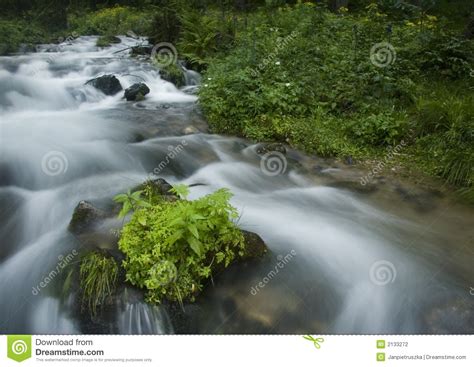 Stream stock photo. Image of park, streams, damp, drops - 2133272