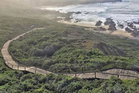Cradle Of Human Culture Route To Launch In Western Cape
