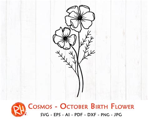 Cosmos Flower Svg October Birth Flower Svg Сosmos Flower Etsy