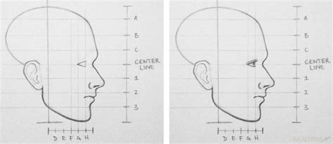 40 Best Collections Side Profile Drawing Step By Step Karon C Shade