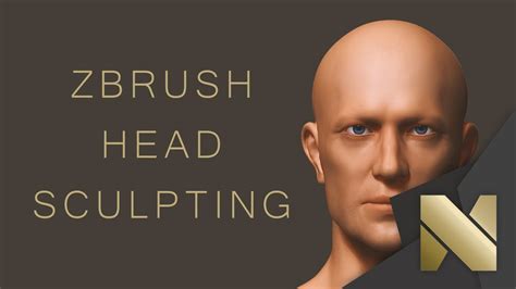 Zbrush Head Sculpting Workflow Insight Youtube