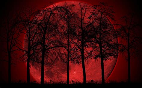 Forest Red Wallpapers Wallpaper Cave