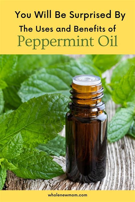 20 Peppermint Oil Uses And Benefits Beauty Health And More