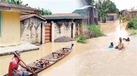 Shell Offers 1m Support To Flood Victims In Niger Delta — Daily Nigerian
