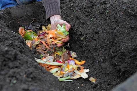 How To Make A Composting Trench Bbc Gardeners World Magazine