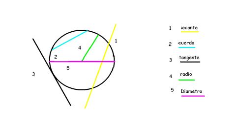 Líneas Curvas En El Plano Circunferencia Elementos De Una