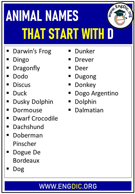 Animal Names That Starts With D Engdic