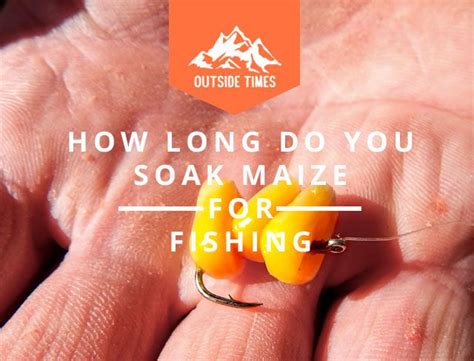 How Long Do You Soak Maize For Fishing Read More Now