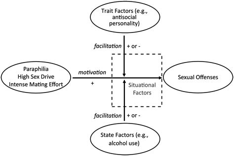 The Motivation Facilitation Model Of Sexual Offending Michael C Seto 2019