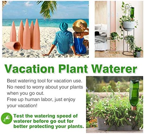 Plant Watering Devices 6 Pack Terracotta Vacation Plant Waterer Wine