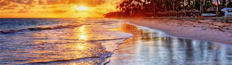 Sunset Tropical Ocean Sand Sea Palms Beach Shore Wallpapers
