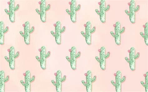 Cute Aesthetic Cactus Wallpapers Wallpaper Cave