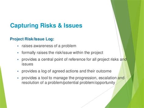 Managing Project Risks And Issues