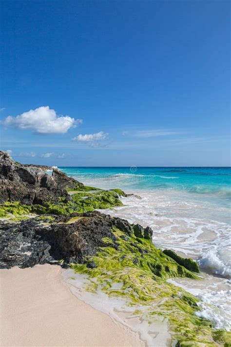 Playa Del Codo Bermudas Foto De Archivo Imagen De Borde