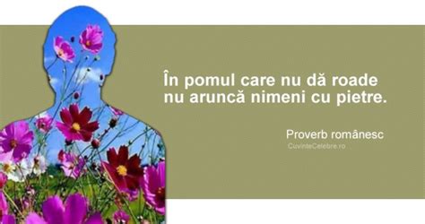 Proverbe Românești