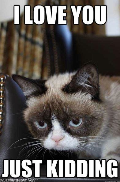 Popsugar Grumpy Cat Grumpy Cat Humor Grumpy Cat Meme