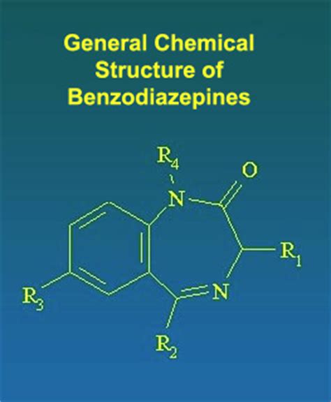 Benzodiazepines mechanism of action characteristics and effects. THE BRAIN FROM TOP TO BOTTOM