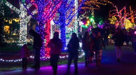Best Christmas And Holiday Light Displays Around Seattle Tacoma And