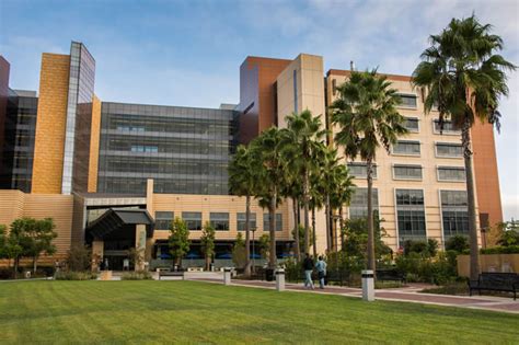Uci Ent Residency Affiliate Hospitals Uc Irvine Medical Center