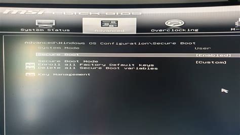 comment activer secure boot et tpm pour installer windows hot sex picture