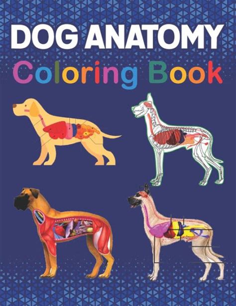 Dog Anatomy Coloring Book The New Surprising Magnificent Learning
