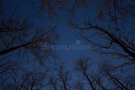 Scary Night Sky Stock Photo Image Of Field Astronomy 118684498